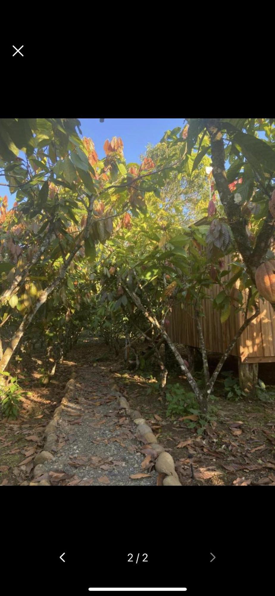 Rio Celeste, Cacahua Lodge 外观 照片